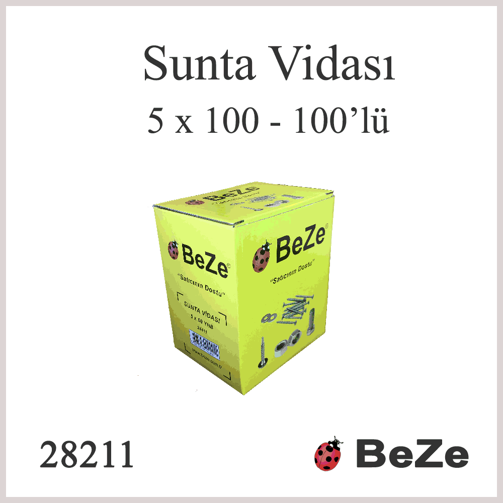BEZE SUNTA VİDASI  5*100  100 AD.